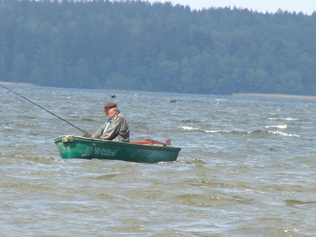 Panterej Goscinne