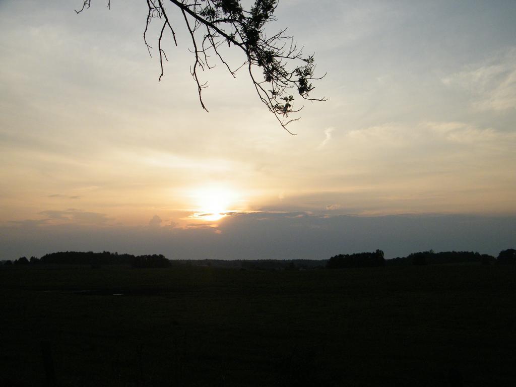 Homestay Panterej Goscinne *