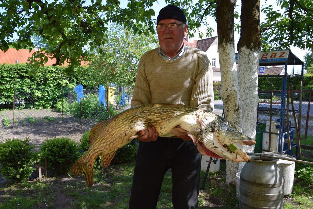 Panterej Goscinne Homestay *